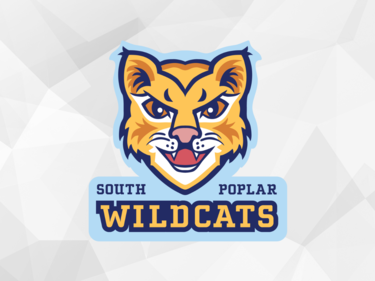 Wildcat graphic logo, abstract grey background