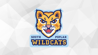 Wildcat graphic logo, abstract grey background