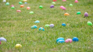 easter egg hunt