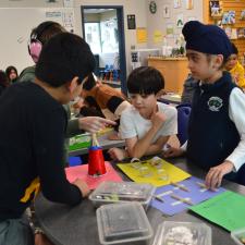 Collaborating for Snail Olympics